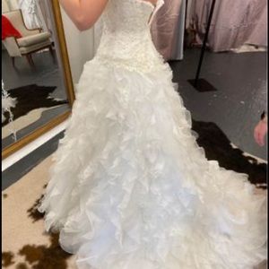 Wedding Dress- Davids Bridal